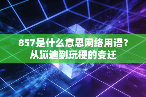 857是什么意思网络用语？从蹦迪到玩梗的变迁