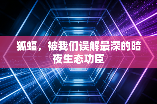 狐蝠，被我们误解最深的暗夜生态功臣