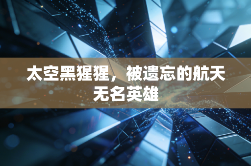 太空黑猩猩，被遗忘的航天无名英雄
