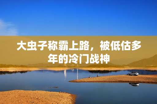 大虫子称霸上路，被低估多年的冷门战神