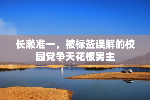 长濑准一，被标签误解的校园党争天花板男主