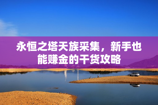 永恒之塔天族采集，新手也能赚金的干货攻略