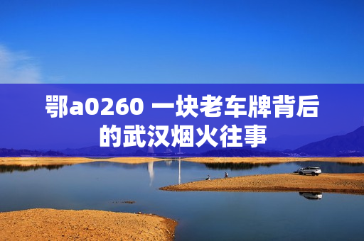 鄂a0260 一块老车牌背后的武汉烟火往事