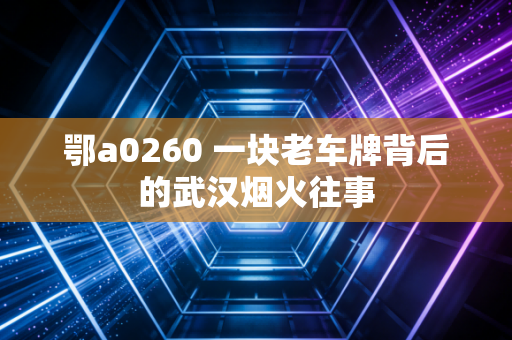 鄂a0260 一块老车牌背后的武汉烟火往事