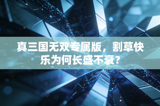 真三国无双专属版，割草快乐为何长盛不衰？