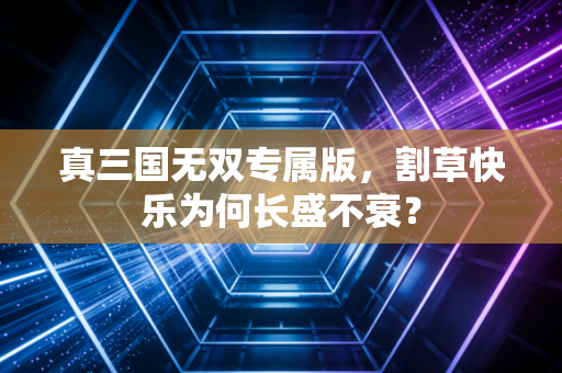 真三国无双专属版，割草快乐为何长盛不衰？