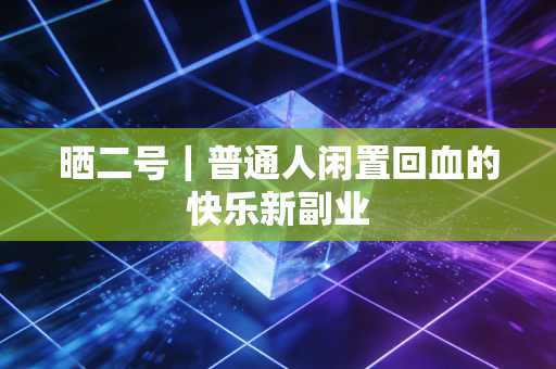 晒二号｜普通人闲置回血的快乐新副业