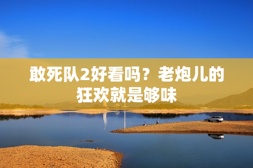 敢死队2好看吗？老炮儿的狂欢就是够味