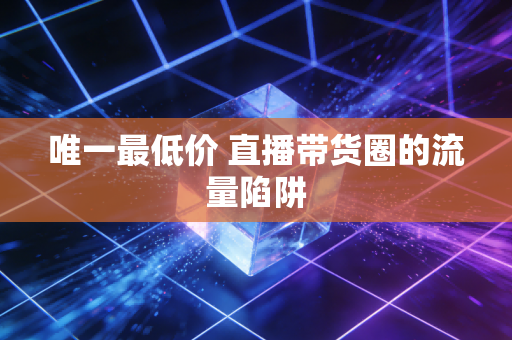 唯一最低价 直播带货圈的流量陷阱