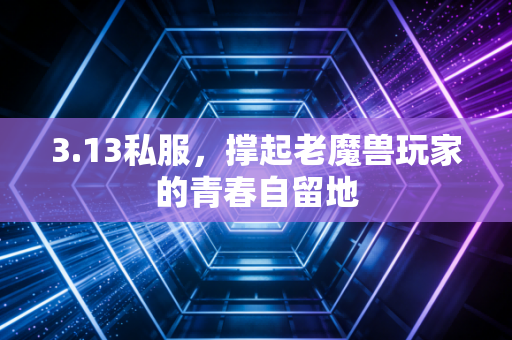 3.13私服,撑起老魔兽玩家的青春自留地