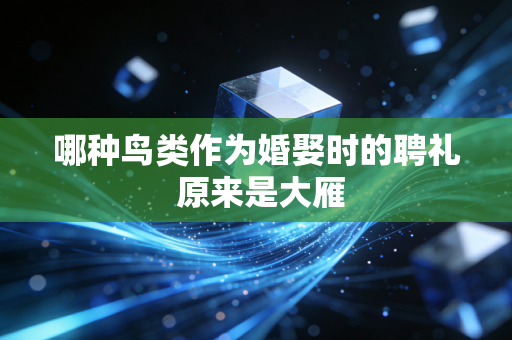 哪种鸟类作为婚娶时的聘礼 原来是大雁
