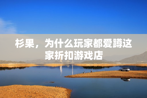 杉果,为什么玩家都爱蹲这家折扣游戏店