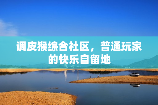 调皮猴综合社区,普通玩家的快乐自留地