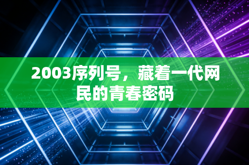 2003序列号，藏着一代网民的青春密码