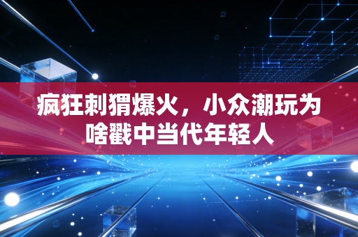 疯狂刺猬爆火，小众潮玩为啥戳中当代年轻人