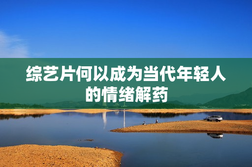 综艺片何以成为当代年轻人的情绪解药