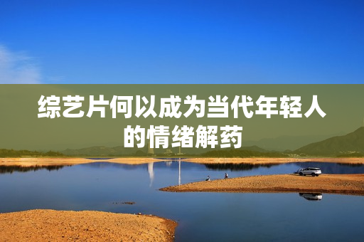 综艺片何以成为当代年轻人的情绪解药