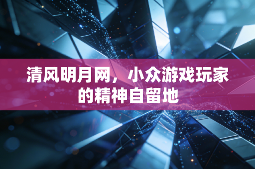 清风明月网,小众游戏玩家的精神自留地