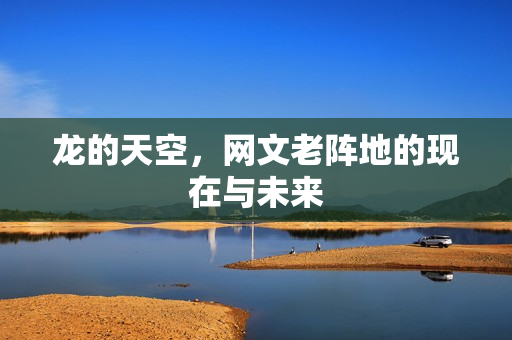 龙的天空,网文老阵地的现在与未来
