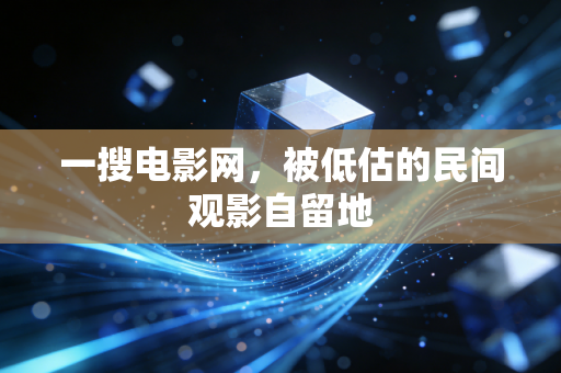 一搜电影网，被低估的民间观影自留地