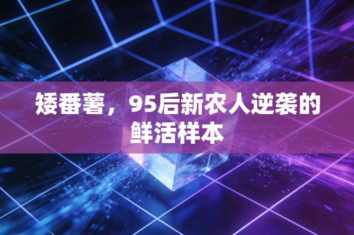 矮番薯,95后新农人逆袭的鲜活样本