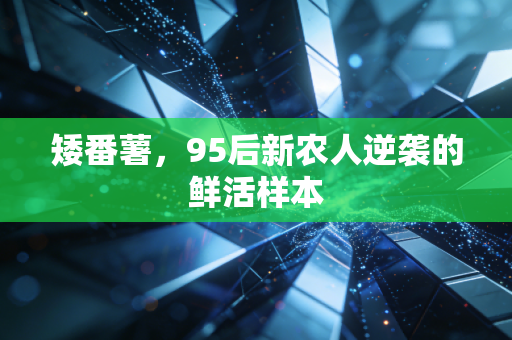 矮番薯,95后新农人逆袭的鲜活样本