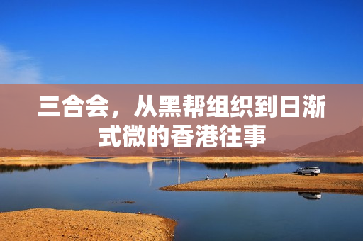 三合会,从黑帮组织到日渐式微的香港往事