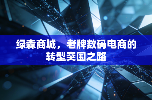 绿森商城,老牌数码电商的转型突围之路