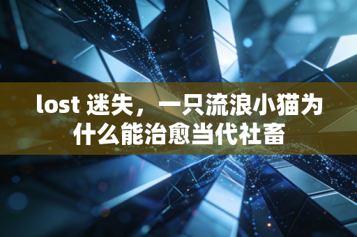 lost 迷失,一只流浪小猫为什么能治愈当代社畜