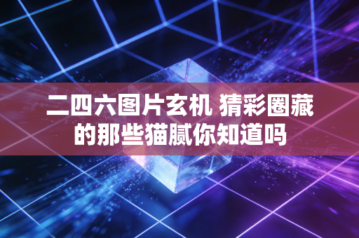 二四六图片玄机 猜彩圈藏的那些猫腻你知道吗