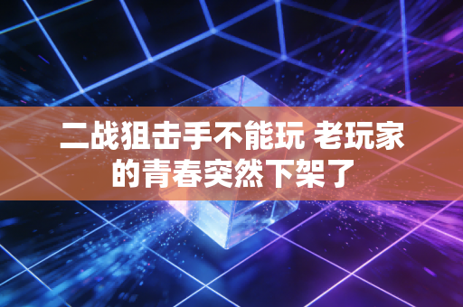 二战狙击手不能玩 老玩家的青春突然下架了