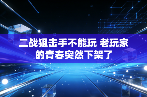 二战狙击手不能玩 老玩家的青春突然下架了
