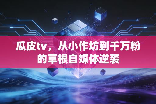 瓜皮tv，从小作坊到千万粉的草根自媒体逆袭