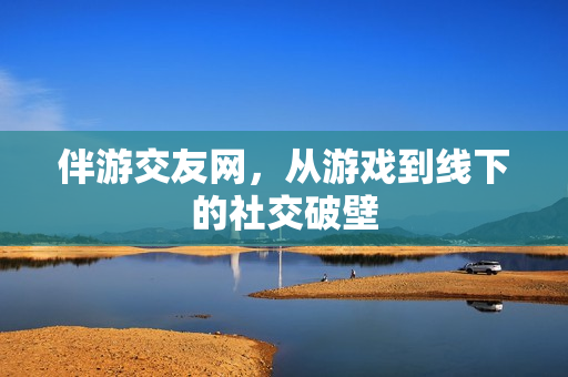 伴游交友网,从游戏到线下的社交破壁