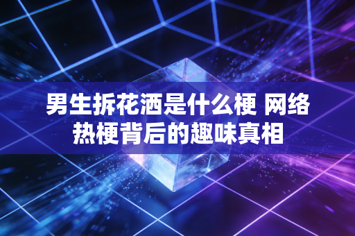 男生拆花洒是什么梗 网络热梗背后的趣味真相