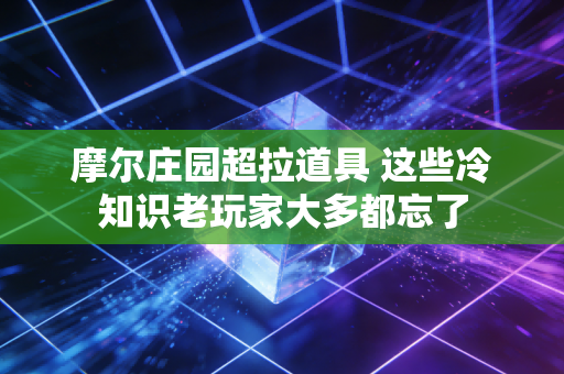 摩尔庄园超拉道具 这些冷知识老玩家大多都忘了