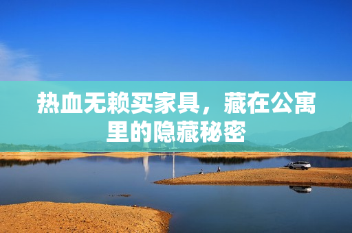 热血无赖买家具,藏在公寓里的隐藏秘密