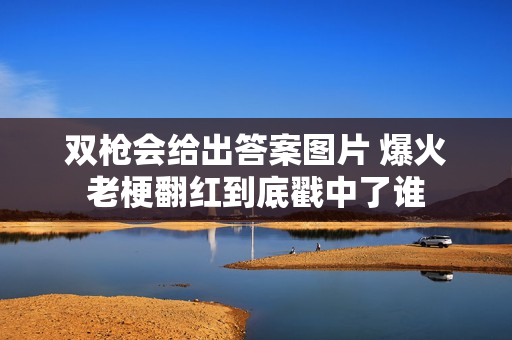 双枪会给出答案图片 爆火老梗翻红到底戳中了谁