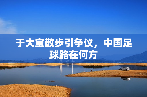 于大宝散步引争议，中国足球路在何方