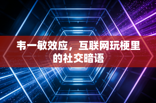 韦一敏效应,互联网玩梗里的社交暗语
