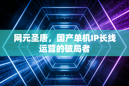 网元圣唐，国产单机IP长线运营的破局者