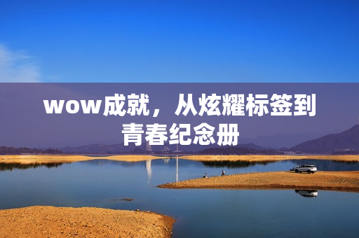 wow成就,从炫耀标签到青春纪念册