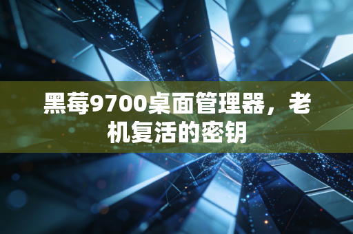 黑莓9700桌面管理器，老机复活的密钥
