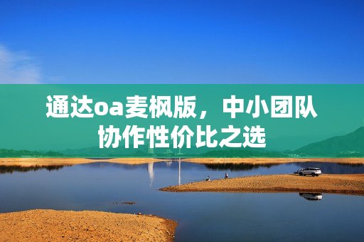 通达oa麦枫版,中小团队协作性价比之选