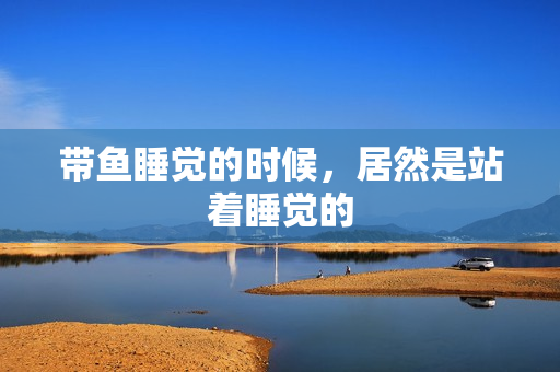 带鱼睡觉的时候,居然是站着睡觉的