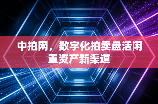 中拍网,数字化拍卖盘活闲置资产新渠道