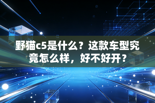 野猫c5是什么？这款车型究竟怎么样，好不好开？