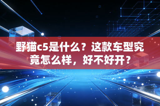 野猫c5是什么？这款车型究竟怎么样，好不好开？