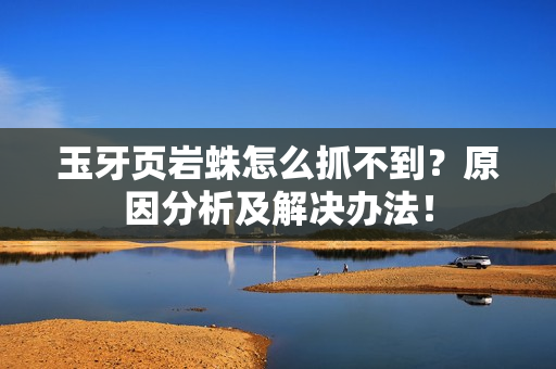 玉牙页岩蛛怎么抓不到？原因分析及解决办法！